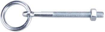 Ring Hook with Metric Screw and Nut