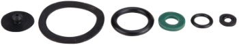 Gaskets for Sprayer