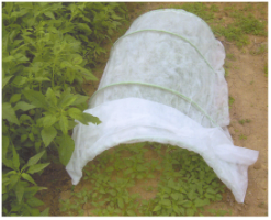 Mini Garden Greenhouse