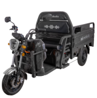 Balaur Electric Cargo Tricycle TRCC1000