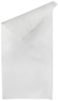 Transparent Polyethylene Sack