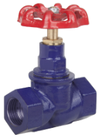 Cast Iron Shut-off Valve Female Thread–Female Thread EvoSanitary®