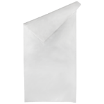 Transparent Polyethylene Sack